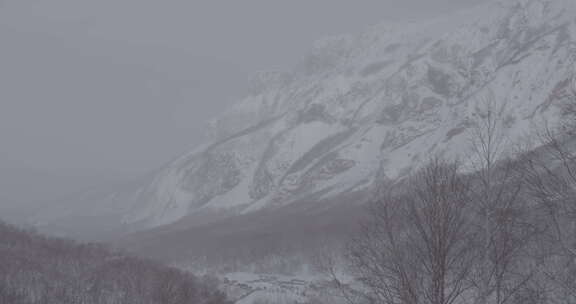 被雪覆盖的长白山北坡景区风光