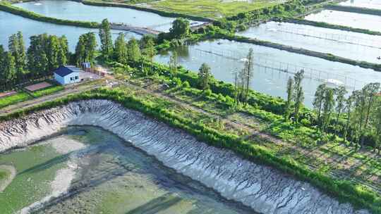 4K120p白鹭湿地乡村农田生态保护