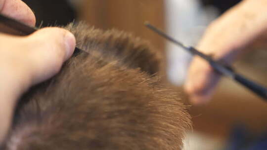 理发师的男性手用发刷和剪刀梳理和切割顾客的短发