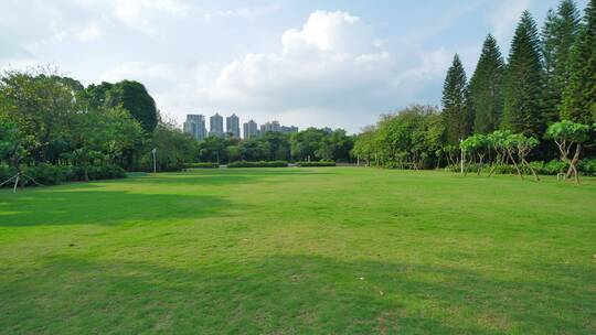 阳光城市广场森林公园草坪草地绿地