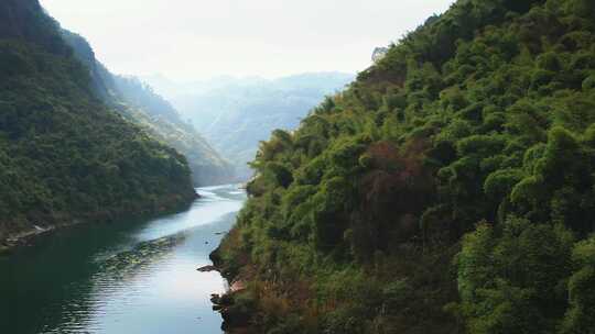 四川乐山嘉阳桫椤湖