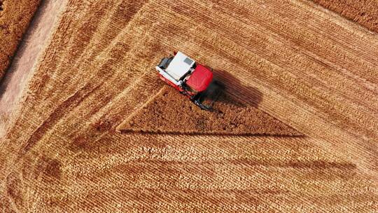 小麦丰收收割航拍