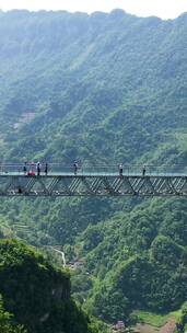 治愈系风景，待到山花烂漫时，她在丛中笑