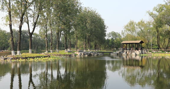 北京通州大森林公园内湖景