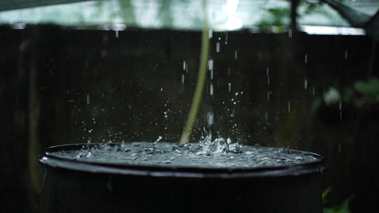 雨水水滴大缸中国风视频