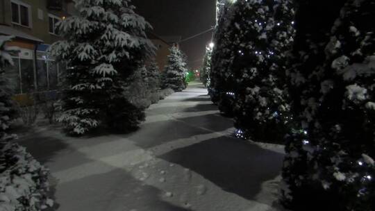 圣诞树排列在白雪覆盖的街道上