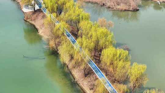 航拍北湖湿地公园树林湖泊河流空镜河岸