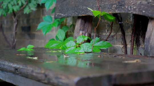 雨天雨滴滴下落下溅水花古朴凳子新生抽象
