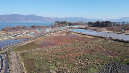 大理环海西路航拍视频素材模板下载