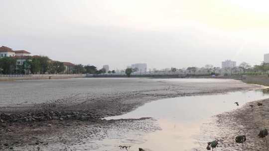 平面图，大坝东水库遭受缺水