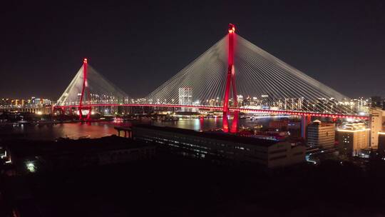 杨浦大桥夜色视频素材模板下载