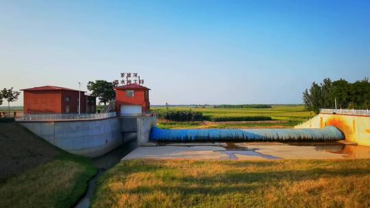 4K罗纹河大坝水草丛中河滩湖泊风景环保绿地