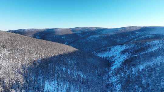 内蒙古大兴安岭森林冬季风景林海雪原风光