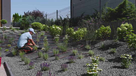 园林美化工人用滴灌建造住宅花园