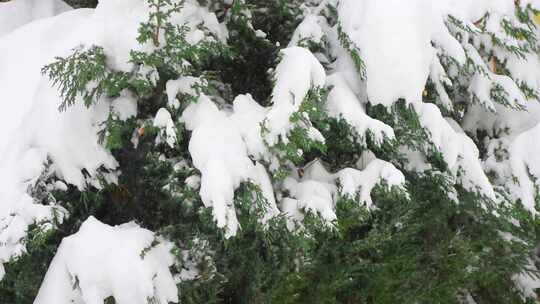 下雪升格素材