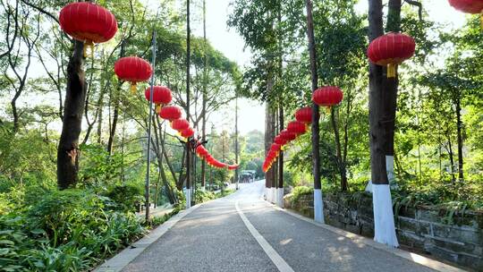 挂着红灯笼的阳光林间道路