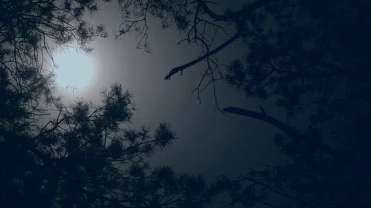 月光夜月枝灯森林树蓝