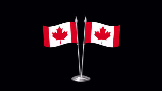 加拿大交叉旗阿尔法