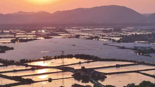 夕阳下的光伏太阳能发电站