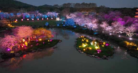 航拍武汉东湖樱花园夜景灯光秀樱花夜樱