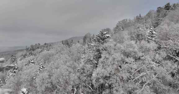 长白山雪岭景区航拍