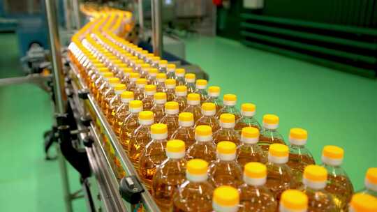 瓶子里的葵花籽油在生产线上移动视频素材模板下载