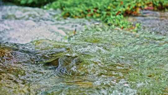 绿色自然小溪流水纯净水资源