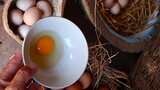 土鸡蛋 散养土鸡蛋 农家土鸡蛋高清在线视频素材下载