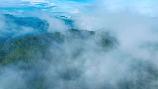 航拍山川原始森林云雾缭绕