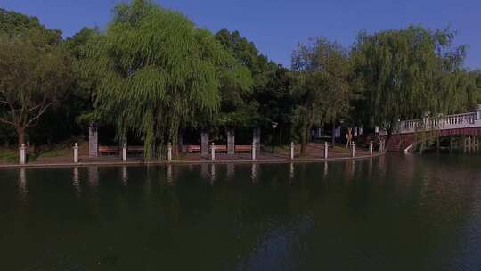 上海松江思贤公园河边跑步过桥长镜头航拍