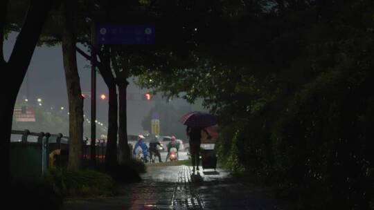 雨夜躲雨行人车辆红绿灯视频素材模板下载