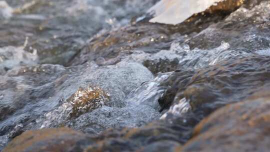 水 河流 小溪 风景 水流 河道 河 风光