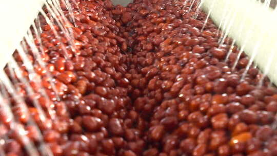 红枣生产流水线清洗