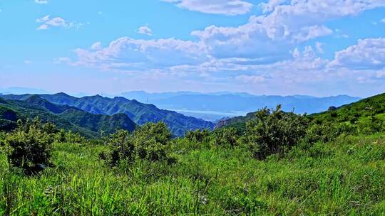 夏季蓝天白云绿色大山山顶全景风光