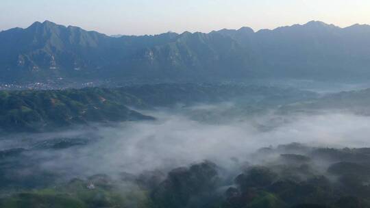 航拍湖北恩施鹤峰生态茶园茶谷云海延时