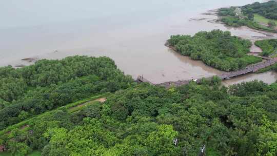 深圳湾公园航拍