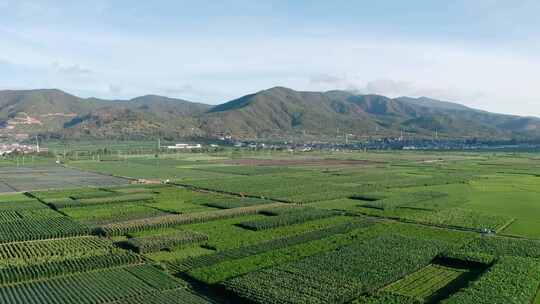 中国云南大理沙溪古镇风景