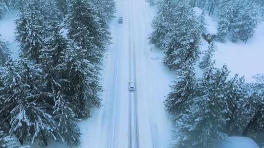 冬季松林间雪地公路上行驶的汽车