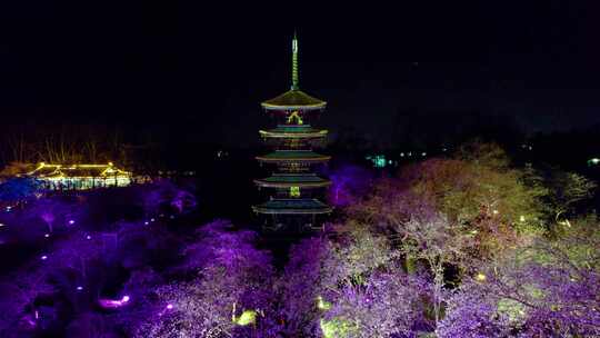 武汉市东湖樱花园五重塔夜景航拍