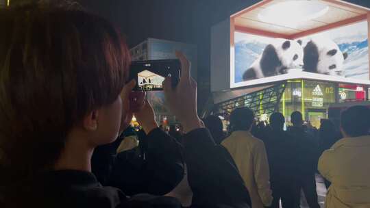 网红巨型裸眼3D屏幕游客打卡