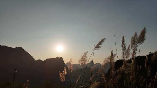 夕阳芦苇风光