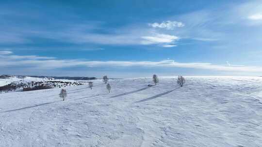 唯美雪原美景 水墨丹青画卷