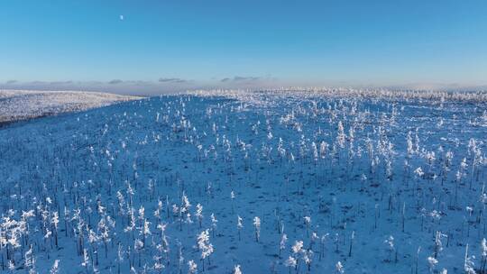 航拍兴安岭雪色山林