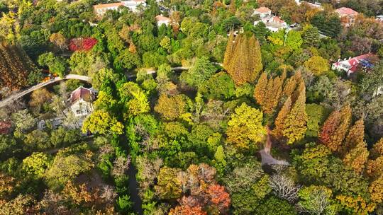 青岛八大关青岛太平角航拍视频素材模板下载