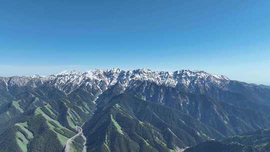 航拍新疆伊犁雪山上的云杉树