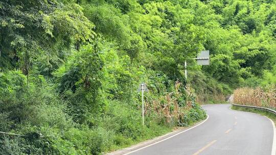 山林蜿蜒公路