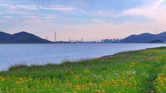 浙江宁波梅山港保税区码头交通梅东大闸营地