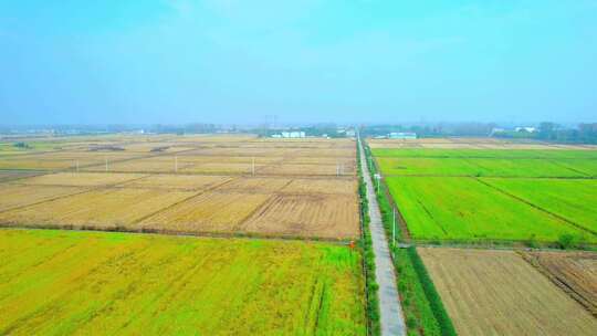 稻田农田基地工厂下降变焦