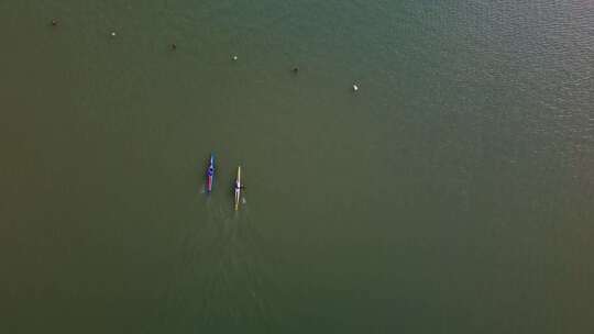 两艘皮划艇艇在水面上航行视频素材模板下载