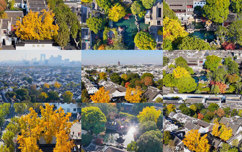 苏州狮子林秋天航拍运镜15镜组合高清在线视频素材下载